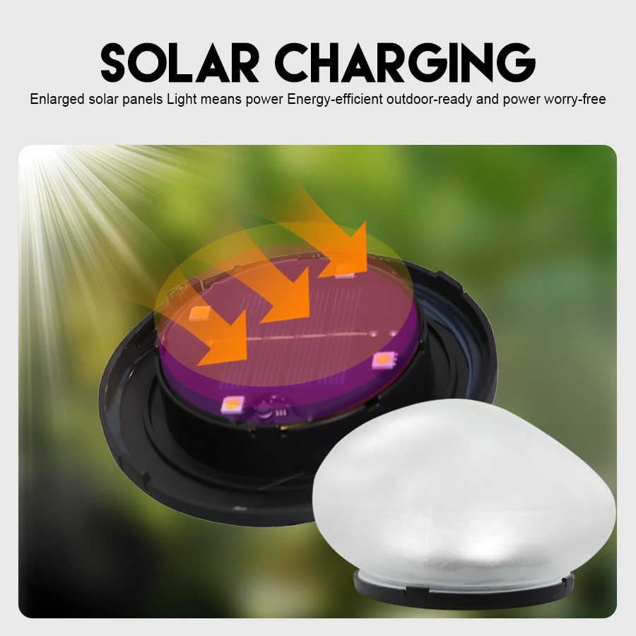 Solar Decorative Lamp Frosted  - đánh giá và giá Renewable Energy House