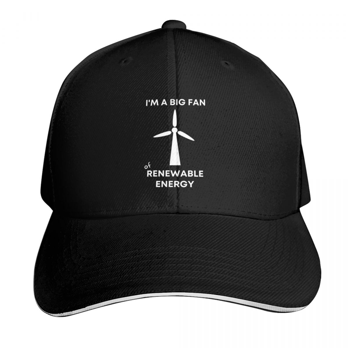 I'm a Big Fan of Renewable Ene - đánh giá và giá Renewable Energy In China